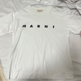 美品♡マルニ　Tシャツ　38