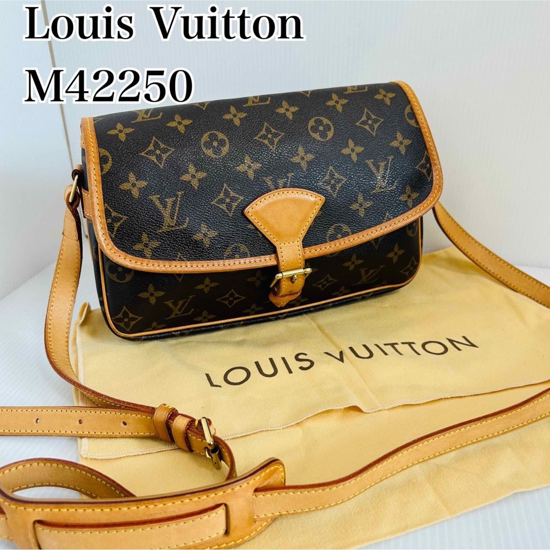 LOUIS VUITTON - 【廃盤品】ルイヴィトン モノグラム ソローニュ