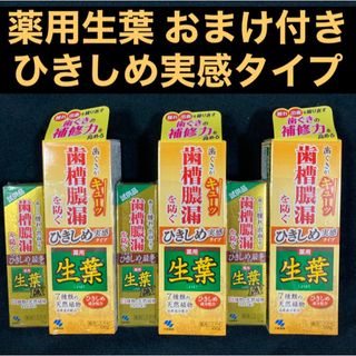 コバヤシセイヤク(小林製薬)の小林製薬 薬用生葉 ひきしめ実感タイプ 100g×3 薬用生葉EX 10g×3(歯磨き粉)