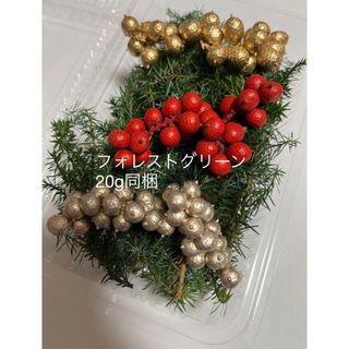 クリスマス花材詰め合わせ⭐︎大地農園ソフトヒムロスギとカネラセット(各種パーツ)