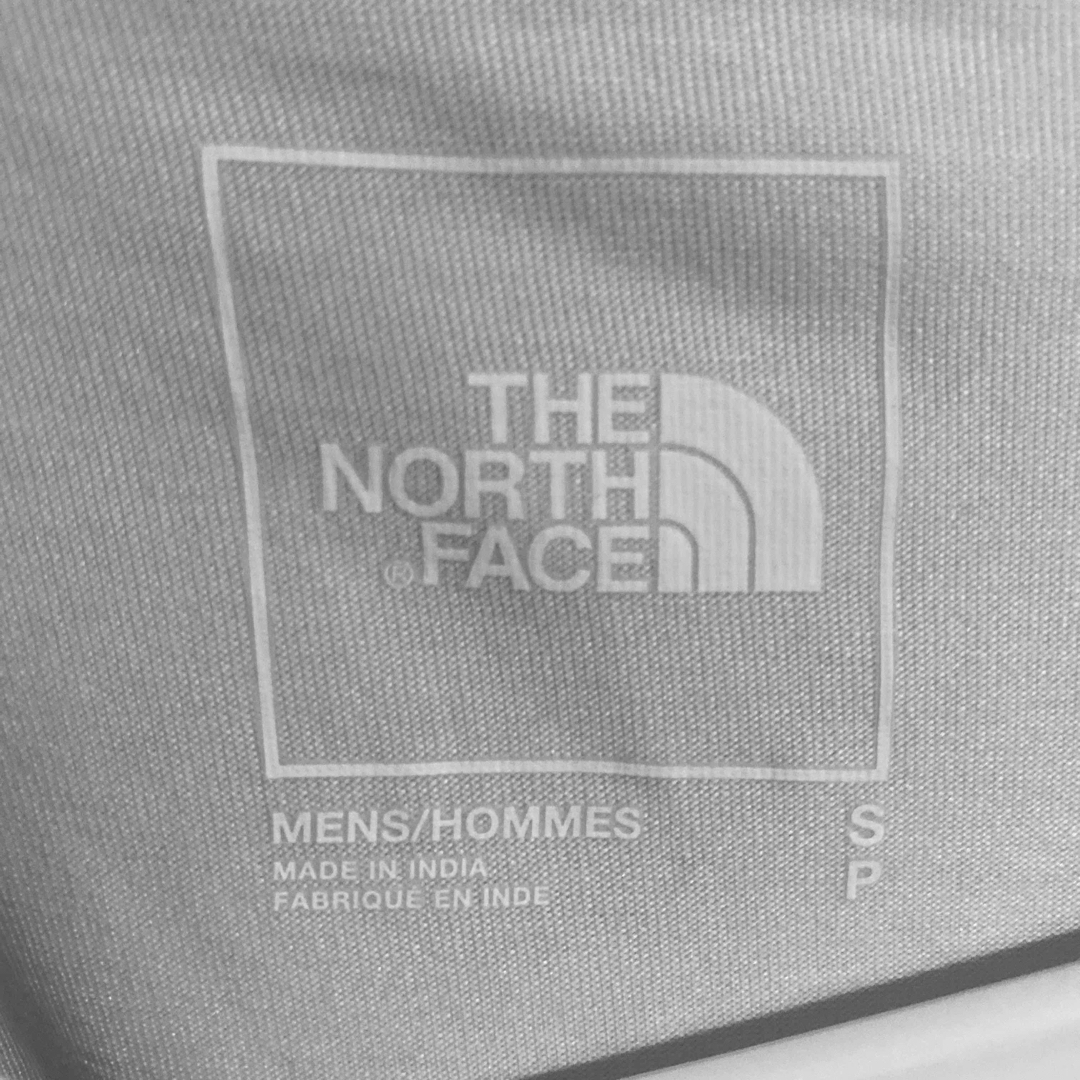 THE NORTH FACE(ザノースフェイス)のThe north face ロンT 海外限定品 メンズのトップス(Tシャツ/カットソー(七分/長袖))の商品写真
