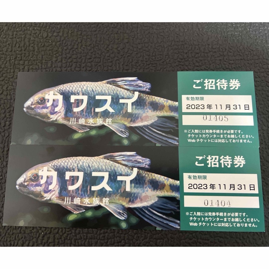 カワスイ　川崎水族館　チケット　ペア　2枚 チケットの施設利用券(水族館)の商品写真