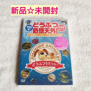 新品・未開封 どうぶつ奇想天外!DVD 不思議がいっぱい海の生き物編 人気番組(キッズ/ファミリー)