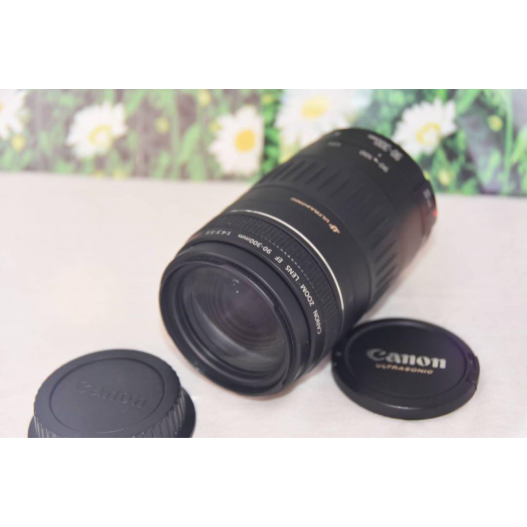 大切な記録を望遠で！ Canon キヤノン EF90-300mm 望遠レンズ