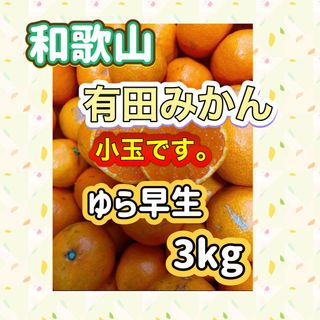 和歌山有田みかん ゆら早生 小玉コンパクト(フルーツ)