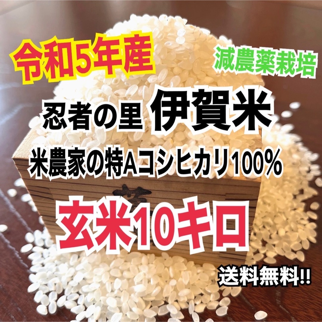 新米】伊賀米コシヒカリ(農家直送)玄米10キロの通販　non's　by　shop｜ラクマ