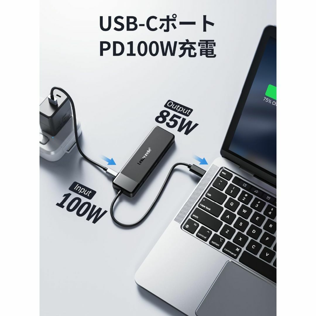 ドッキングステーション usb c ハブ 10-in-1 MST HDMI ２つノートPC