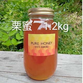 国産 純粋 蜂蜜 生はちみつ 1.2kg 栗蜜の通販 by Bee Cactus｜ラクマ