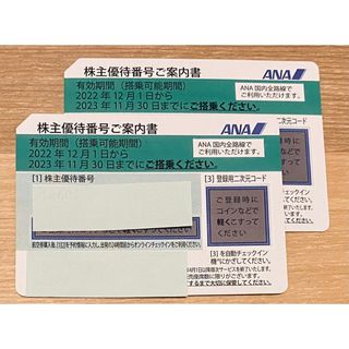 エーエヌエー(ゼンニッポンクウユ)(ANA(全日本空輸))のANA 全日本空輸　株主優待　2枚(航空券)