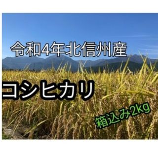 令和4年長野産コシヒカリ　ゆうパケットポスト箱込みで2kg(米/穀物)