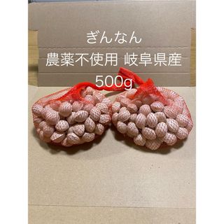 ぎんなん 農薬不使用 岐阜県産 500g(野菜)