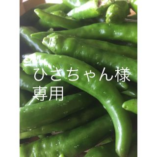  ひさちゃん様専用　青唐辛子　400g  (野菜)