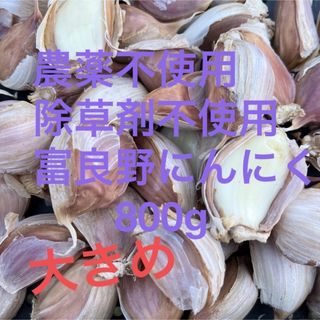 訳あり　農薬不使用　除草剤不使用　富良野ニンニク　にんにく　バラ(野菜)