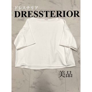 ドレステリア(DRESSTERIOR)のドレステリア　スウェット　プルオーバー(Tシャツ(長袖/七分))