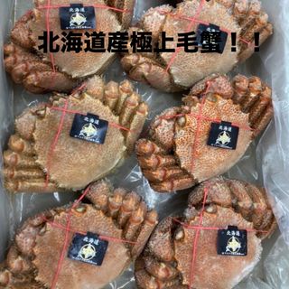 蟹鍋蟹味噌と身入り良し！北海道産極上毛蟹500g×2匹！ズワイガニ タラバガニ