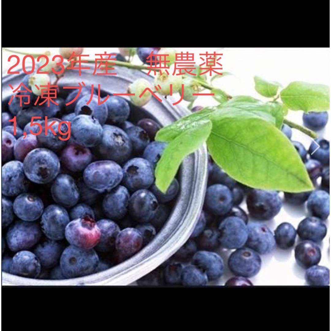冷凍ブルーベリー　無農薬　1,5kg 食品/飲料/酒の食品(フルーツ)の商品写真