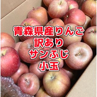 【産地直送】青森県産りんご  家庭用  10kg(フルーツ)