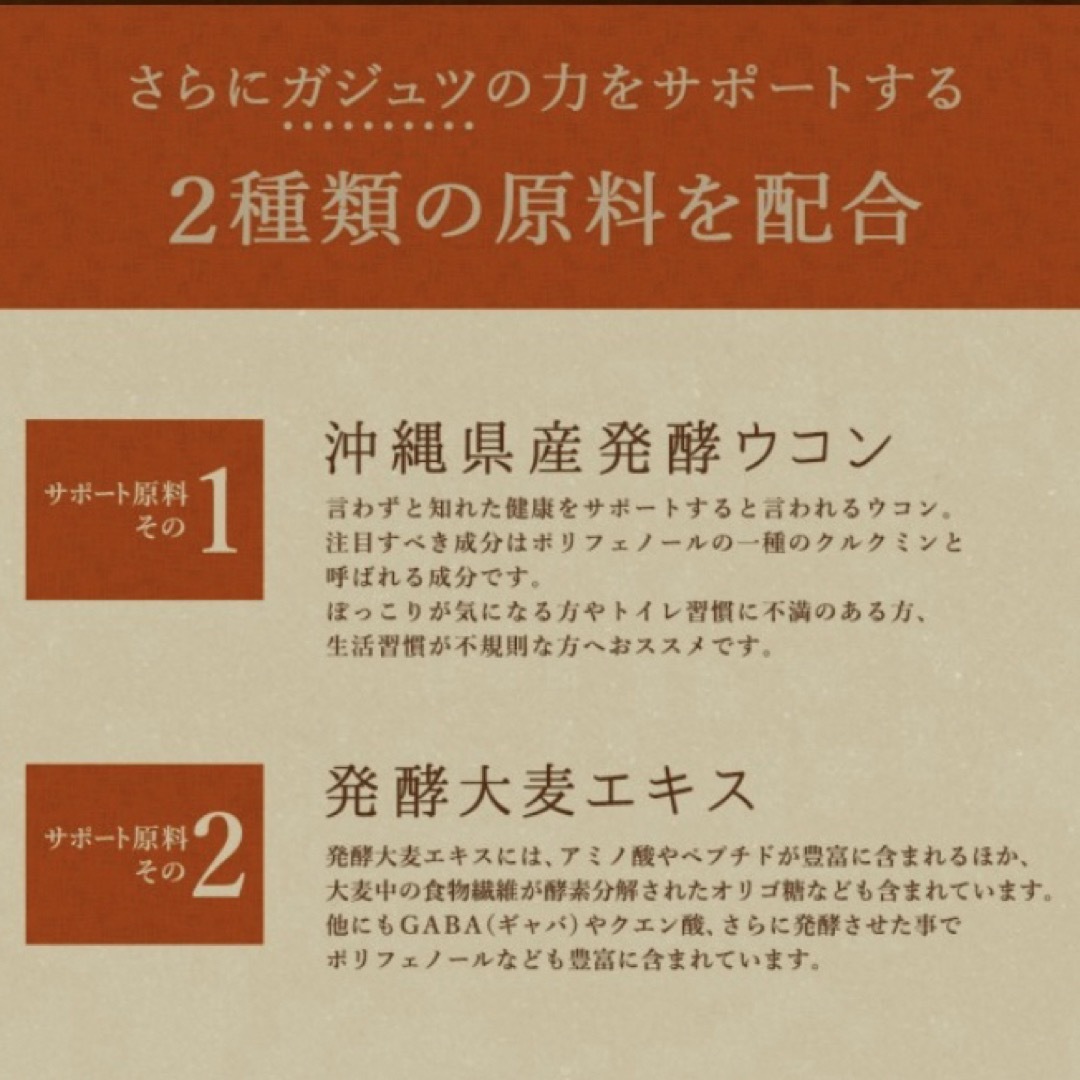 ガジュツ 紫ウコンサプリメント 約3ヵ月分 美容 健康 ダイエット お酒  食品/飲料/酒の健康食品(その他)の商品写真