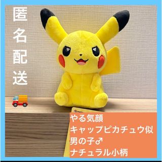 マイピカチュウ　キラ　きら　ポケセン　MY PIKACHU 731938