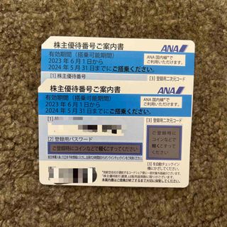 エーエヌエー(ゼンニッポンクウユ)(ANA(全日本空輸))のANA 株主優待券　2枚　2024.5.31まで(その他)