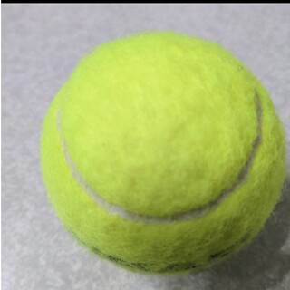 テニスボール　1個(ボール)