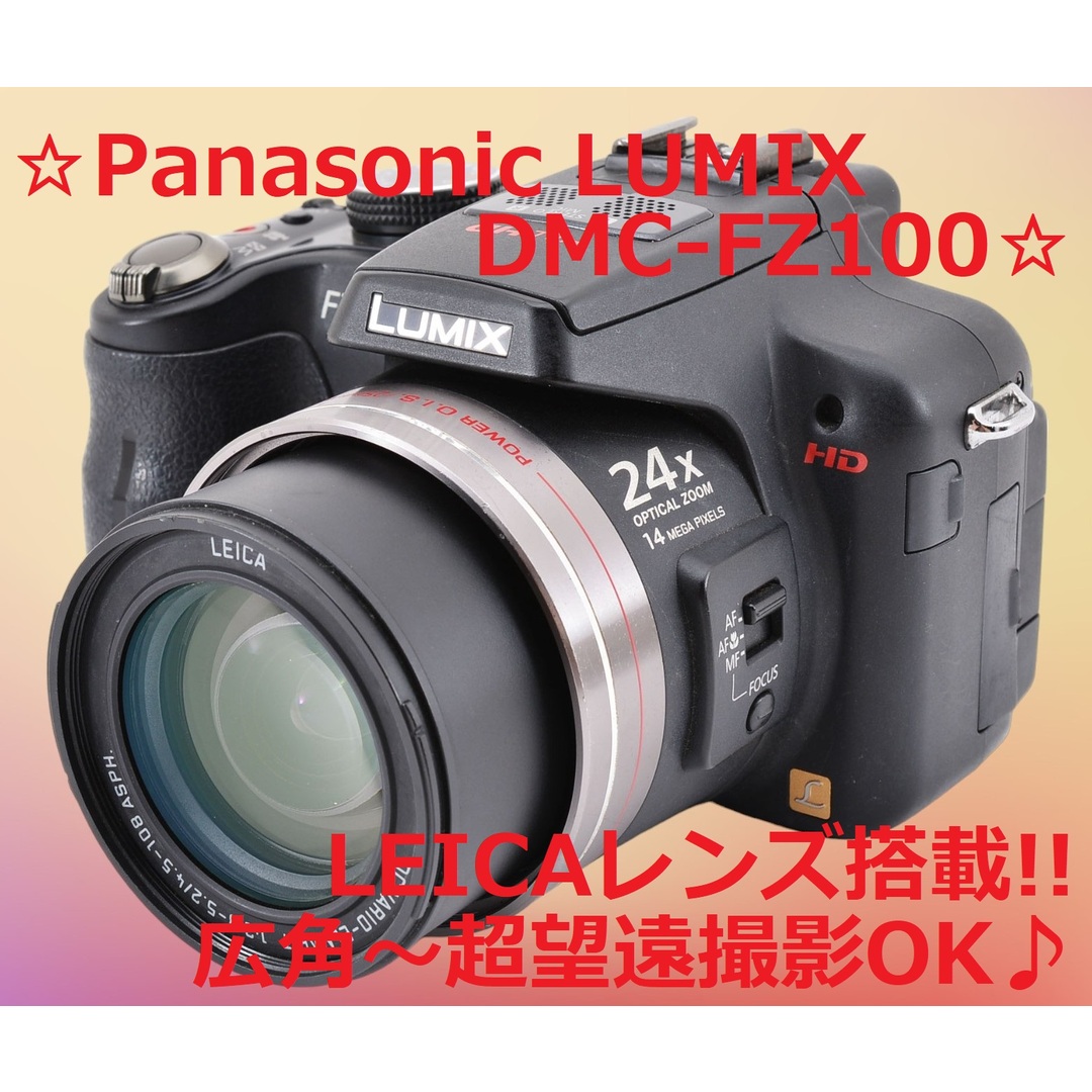 広角～超望遠撮影OK!! Panasonic DMC-FZ100 #6396