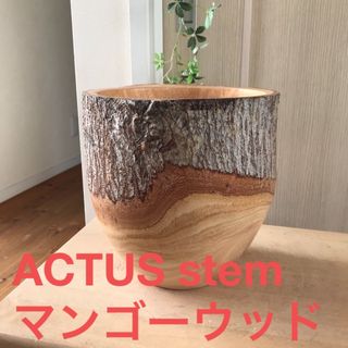 アクタス　ウッド　モザイクUポット　鉢カバー　ASHGREY