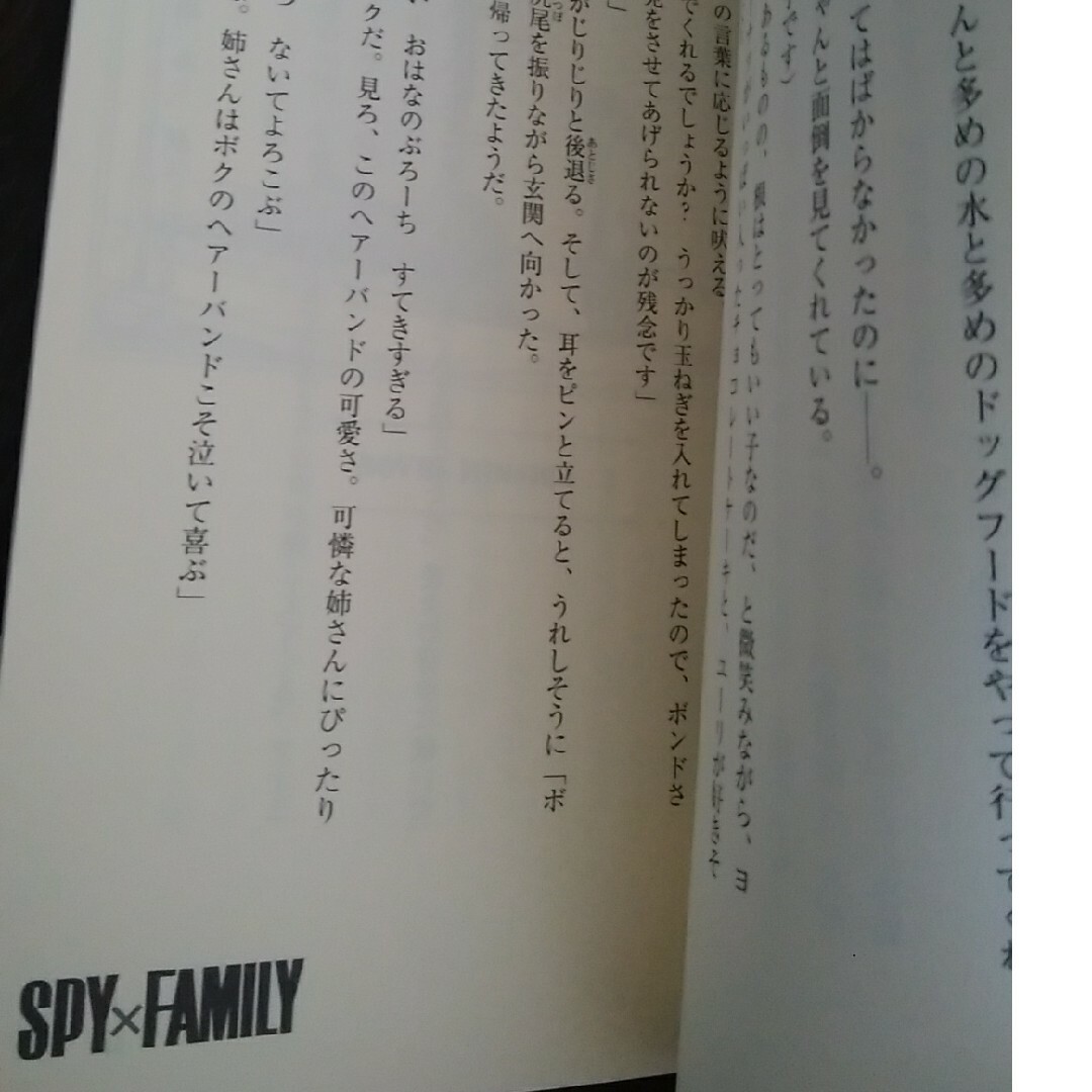 ＳＰＹ×ＦＡＭＩＬＹ　家族の肖像 エンタメ/ホビーの漫画(その他)の商品写真