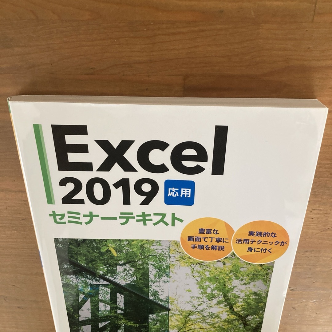 日経BP(ニッケイビーピー)のＥｘｃｅｌ２０１９応用セミナ－テキスト エンタメ/ホビーの本(コンピュータ/IT)の商品写真