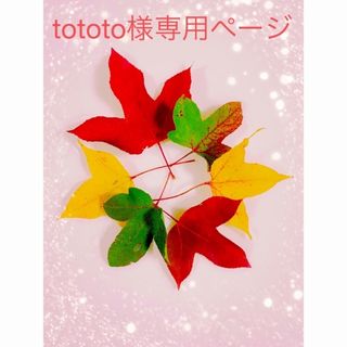 羊毛フェルト　シェルティ(ぬいぐるみ)