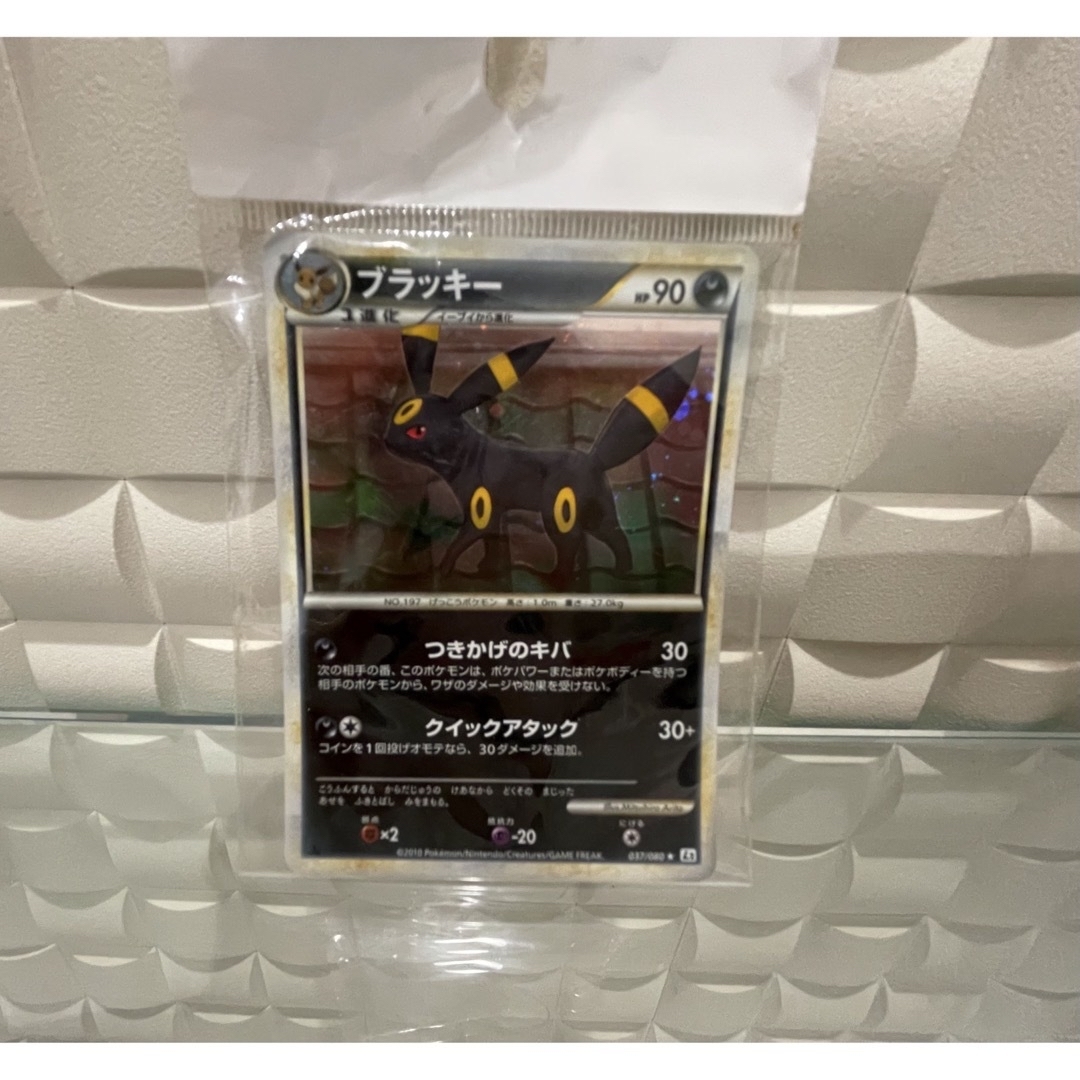ポケモン - ポケモンカードゲーム ブラッキー つきかげのキバの ポケモン - ポケモンカードゲーム ブラッキー つきかげのキバの