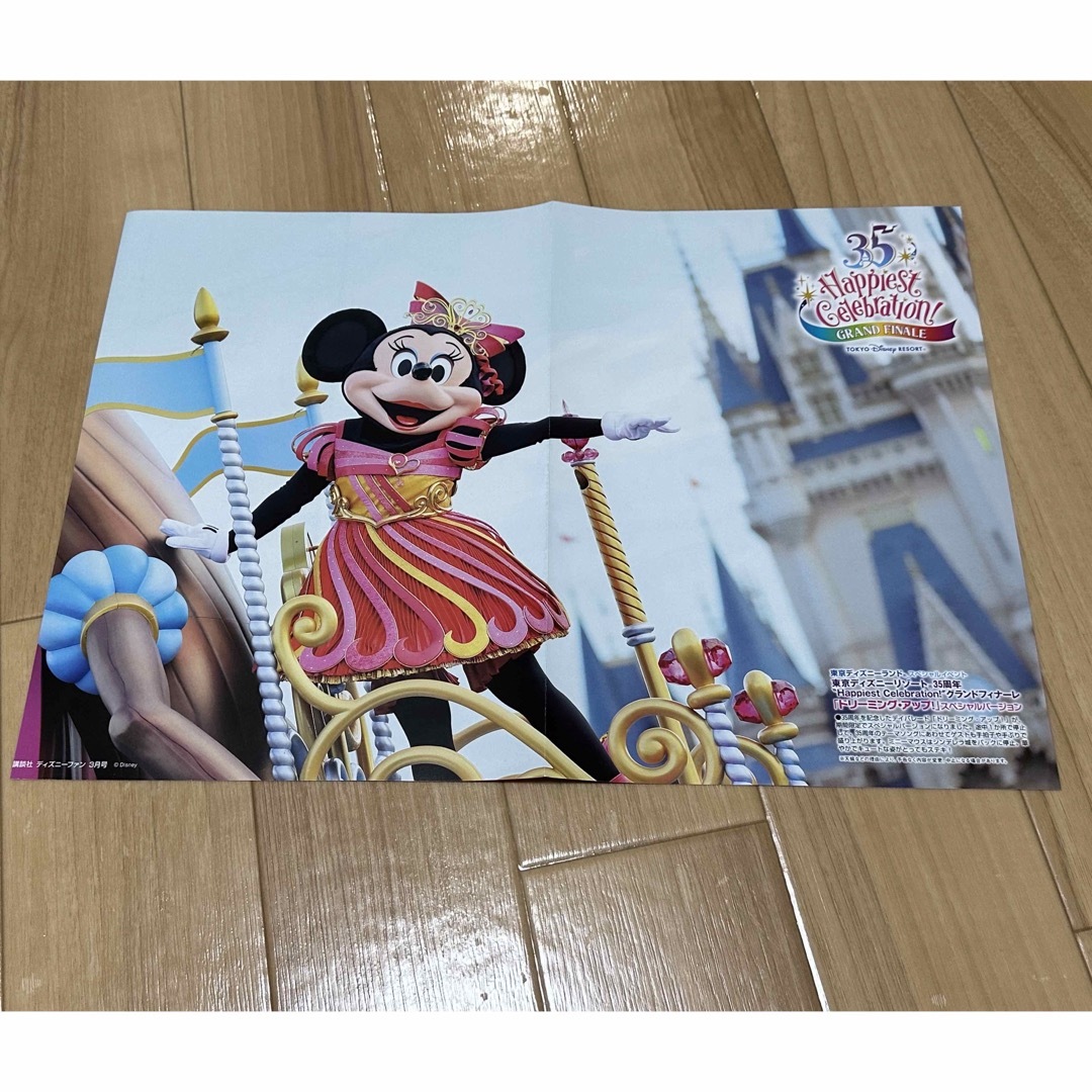 Disney(ディズニー)のディズニーファン付録 ポスター エンタメ/ホビーのアニメグッズ(ポスター)の商品写真