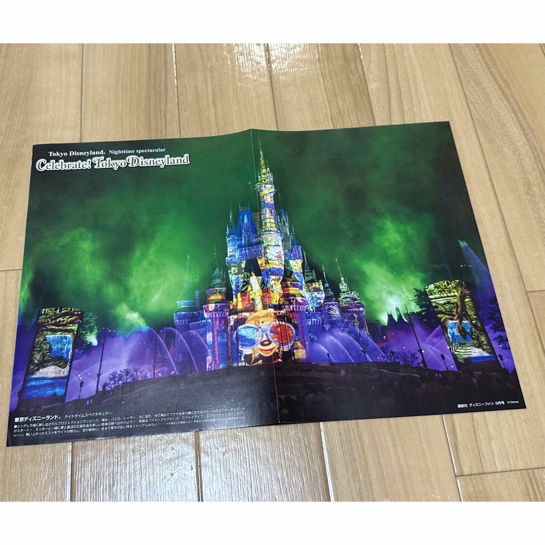 Disney(ディズニー)のディズニーファン付録 ポスター エンタメ/ホビーのアニメグッズ(ポスター)の商品写真