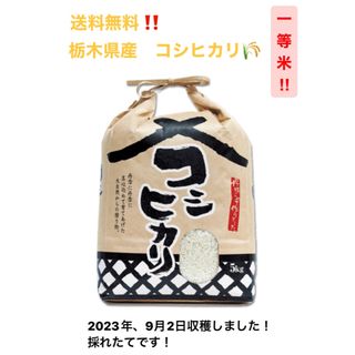 【2023年度】米 新米 コシヒカリ 10kg  送料無料(米/穀物)