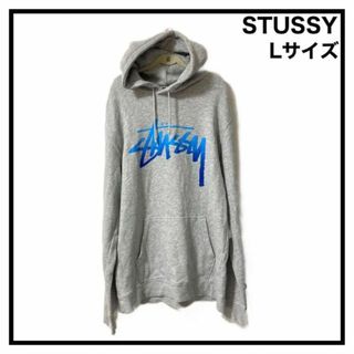 ステューシー(STUSSY)の【希少】　ステューシー　パーカー　センターロゴ　メンズ　古着　ボロ　ダメージ　L(パーカー)