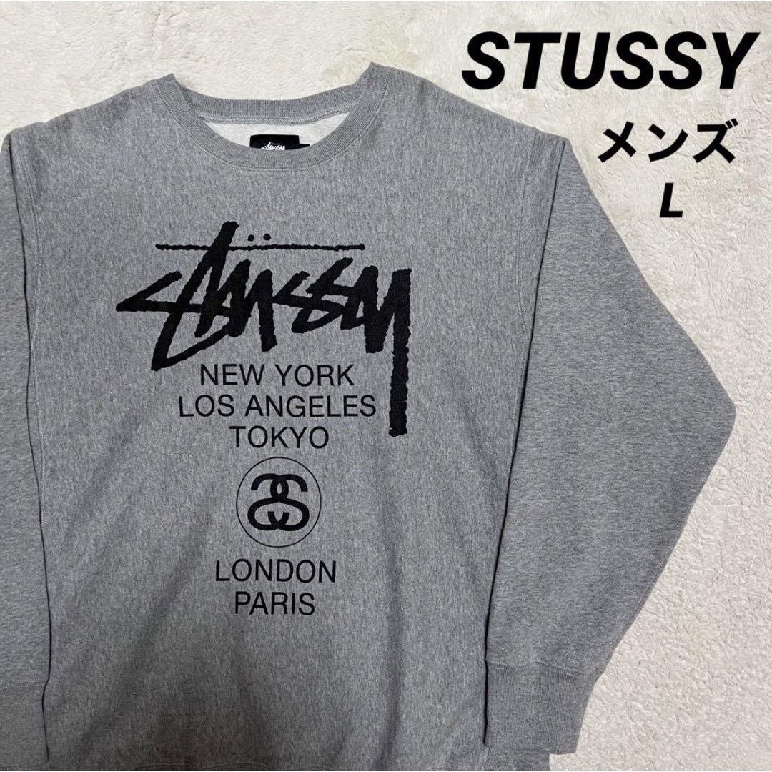 STUSSY   ステューシー  スウェット トレーナー  裏起毛  メンズ L