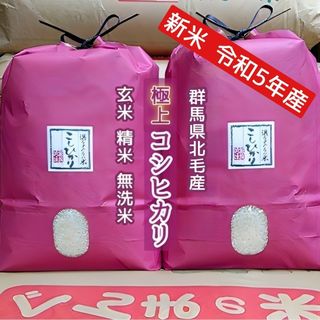 新米！令和5年産！群馬北毛産！極上コシヒカリ！玄米or精米or無洗米！10(米/穀物)