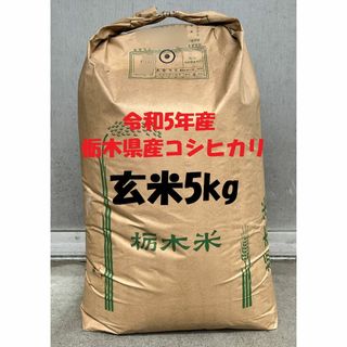 令和5年産　栃木県産コシヒカリ　検査1等　玄米5kg(精米無料)(米/穀物)