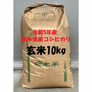 令和5年産　栃木県産コシヒカリ　検査1等　玄米10kg(精米無料)(米/穀物)