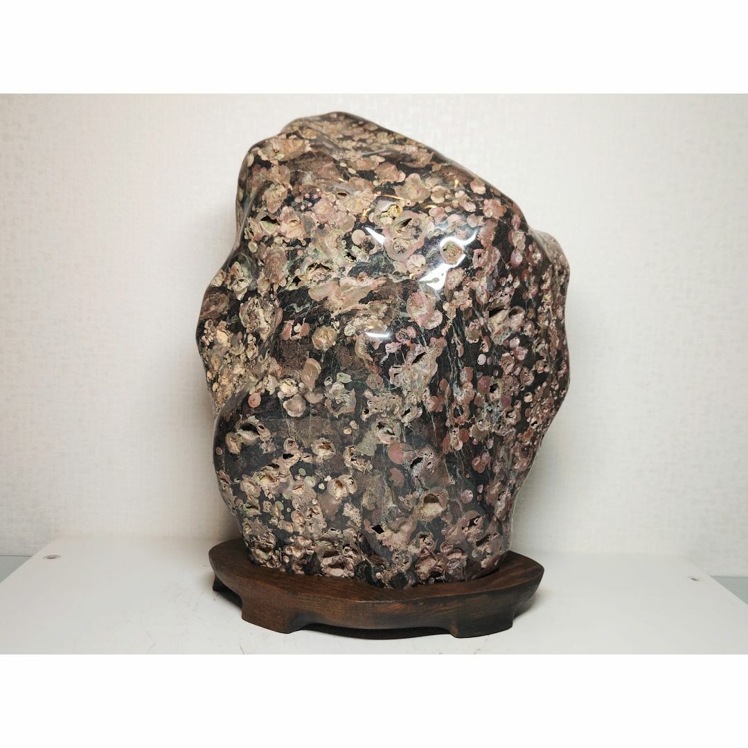 牡丹石 14kg ボタン石 梅花石 菊花石 紋石 原石 鑑賞石 自然石 牡丹石 14kg ボタン石 梅花石 菊花石 紋石 原石 鑑賞石 自然石