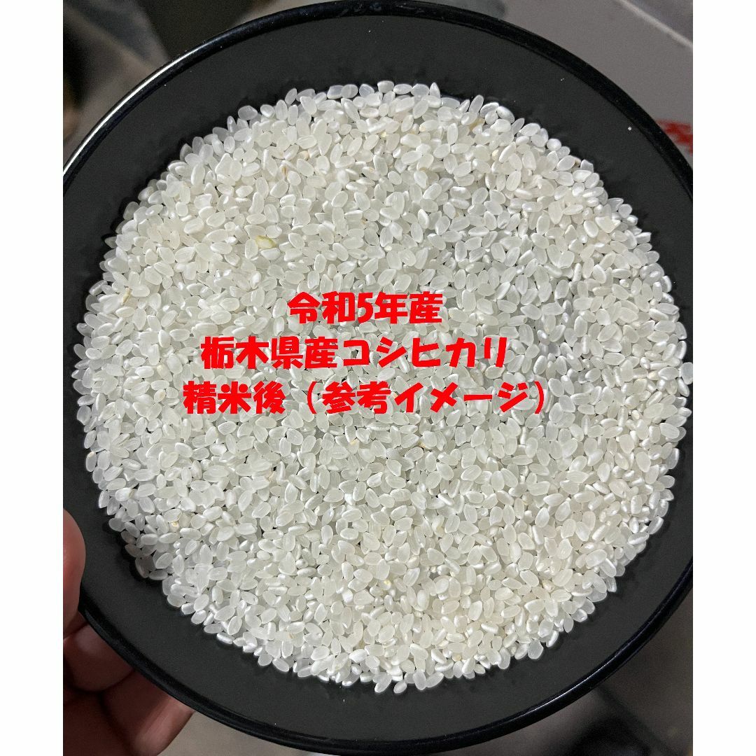 令和5年産　栃木県産コシヒカリ　検査1等　玄米20kg(精米無料) 食品/飲料/酒の食品(米/穀物)の商品写真