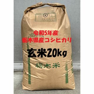 令和5年産　栃木県産コシヒカリ　検査1等　玄米20kg(精米無料)(米/穀物)