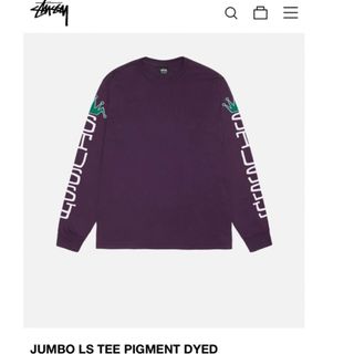 ステューシー(STUSSY)のOnyx Pinky様専用STUSSY ステューシー　クルーネックTシャツ(Tシャツ/カットソー(七分/長袖))