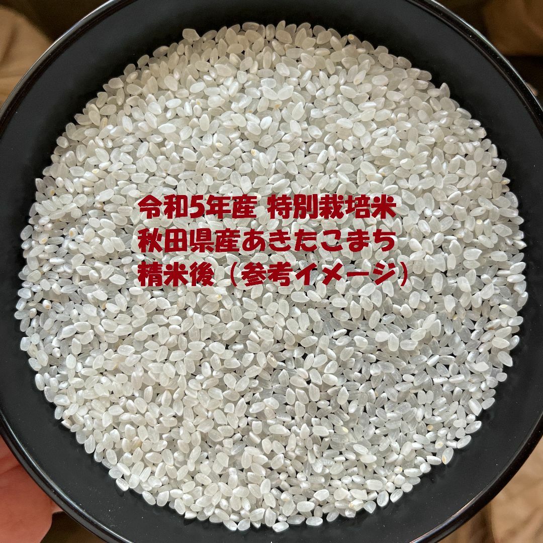 令和5年産　特別栽培米　秋田県産あきたこまち(検査1等米)玄米5kg　精米無料