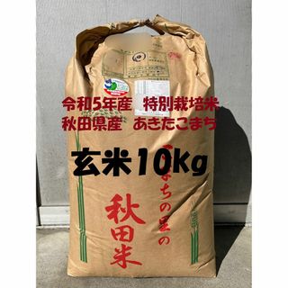 令和5年産　特別栽培米　秋田県産あきたこまち(検査1等米)玄米10kg　精米無料(米/穀物)