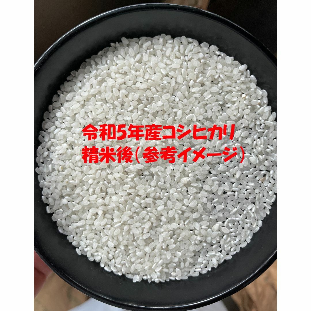 by　令和5年産　玄米5kg(精米無料)の通販　埼玉県産コシヒカリ　ヒンナの美味しいお米｜ラクマ