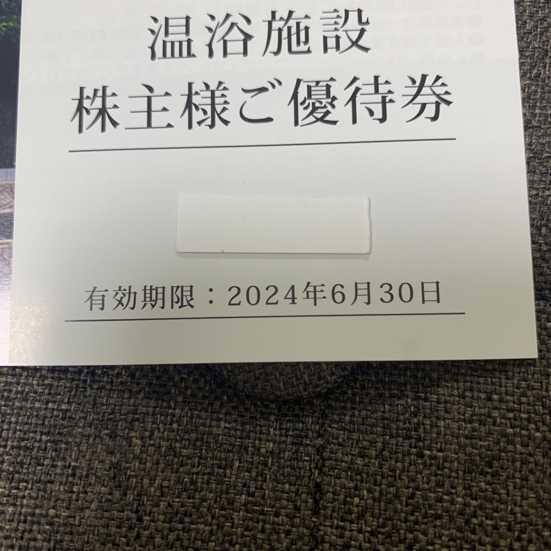 飯田グループホールディングス株主優待券４枚 チケットの施設利用券(その他)の商品写真
