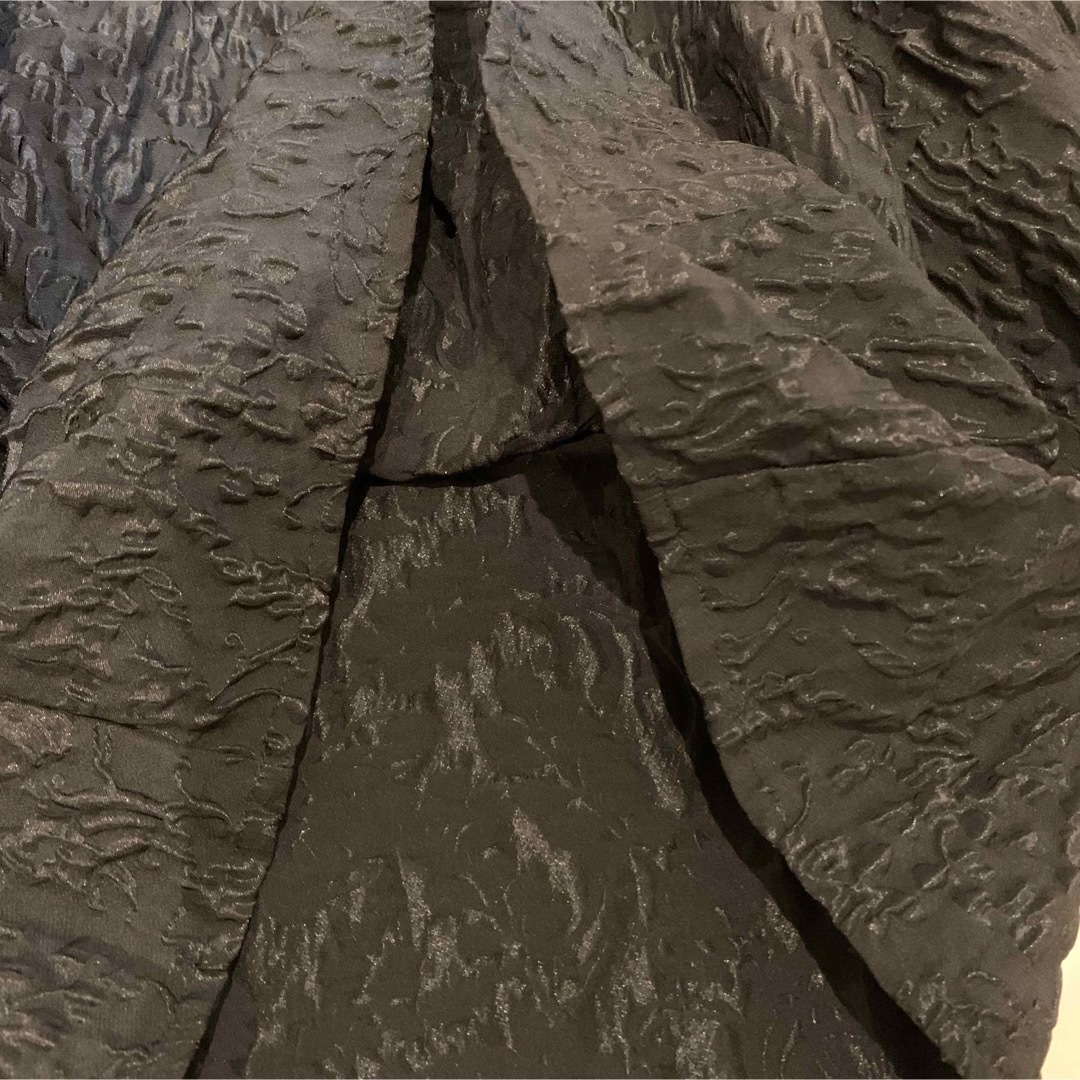 コエル 膨れジャガードブラウス　黒　ブラック　フリーサイズ レディースのトップス(シャツ/ブラウス(長袖/七分))の商品写真