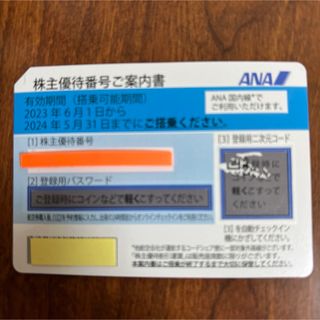 ANA株主優待券ブルー(その他)