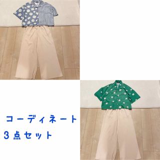 アベイル(Avail)のレディース コーデ 半袖シャツ ワイドパンツ 白 緑 青 花柄 チェック(セット/コーデ)